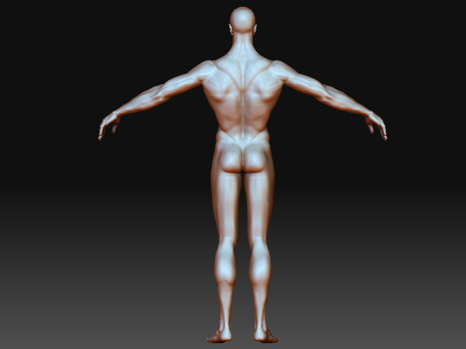 body back