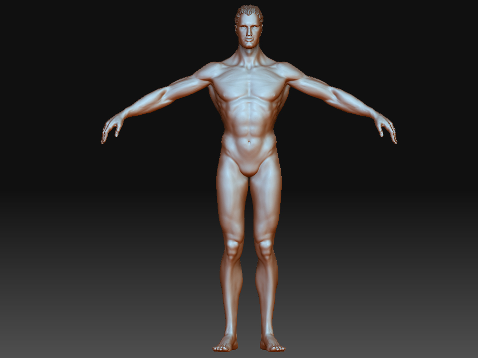 body front