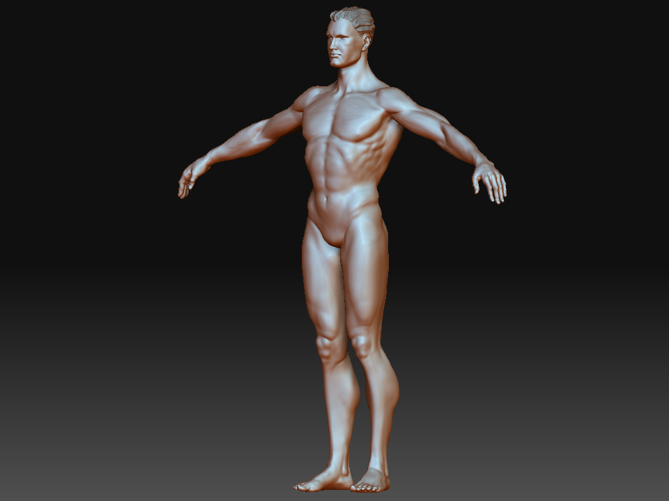 body persp