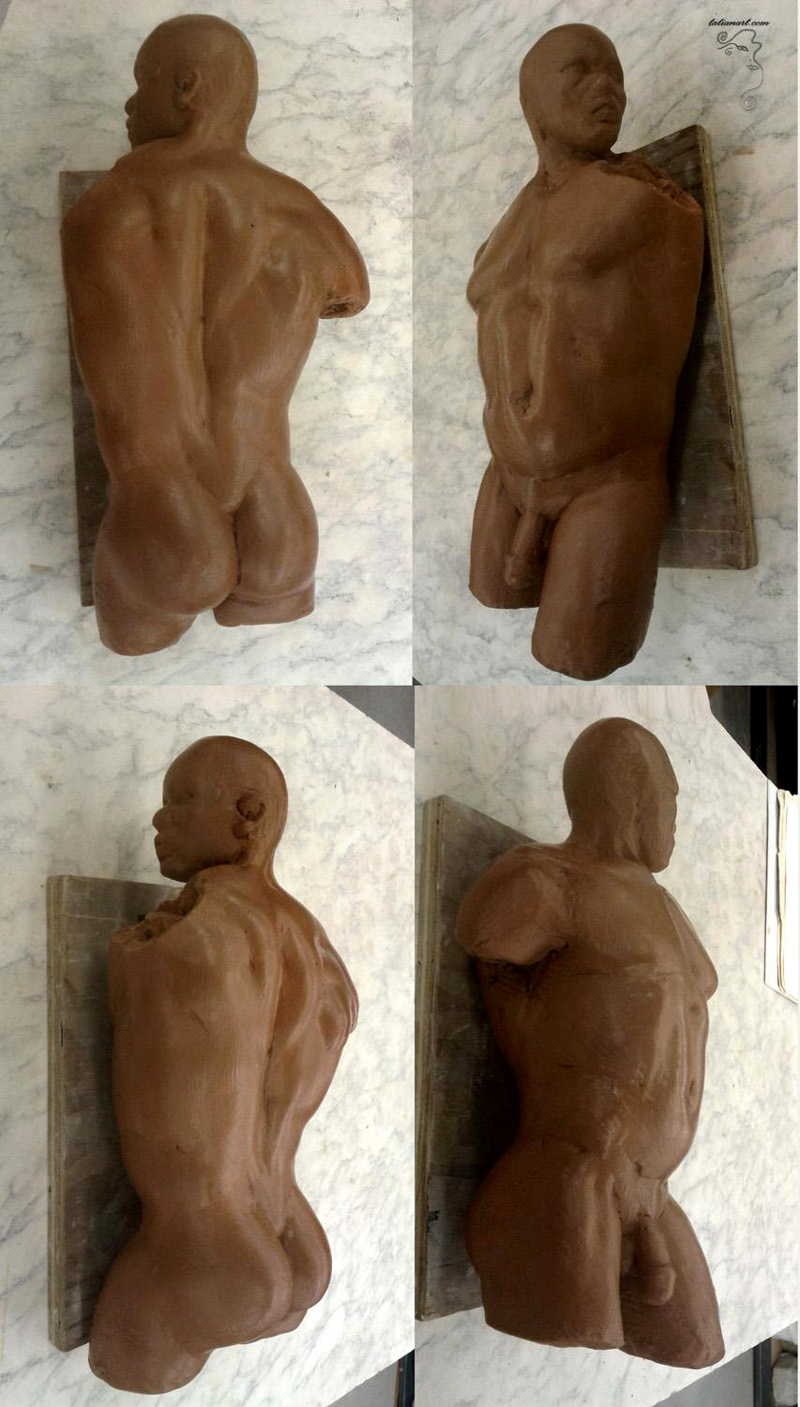 Male torso