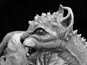 Chimera tigris